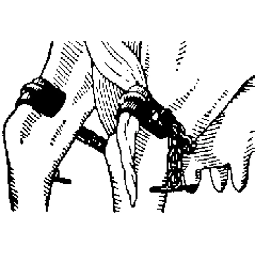 Kant-Kik Kow Hobble 2 Kant-Kik Kow Hobble - Image 2