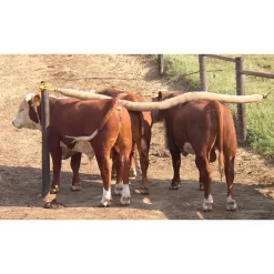 Cow Life-Cattle Rub -Pet Care Supplies 11140 3