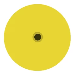 DuFlex Standard Round Blank Tag