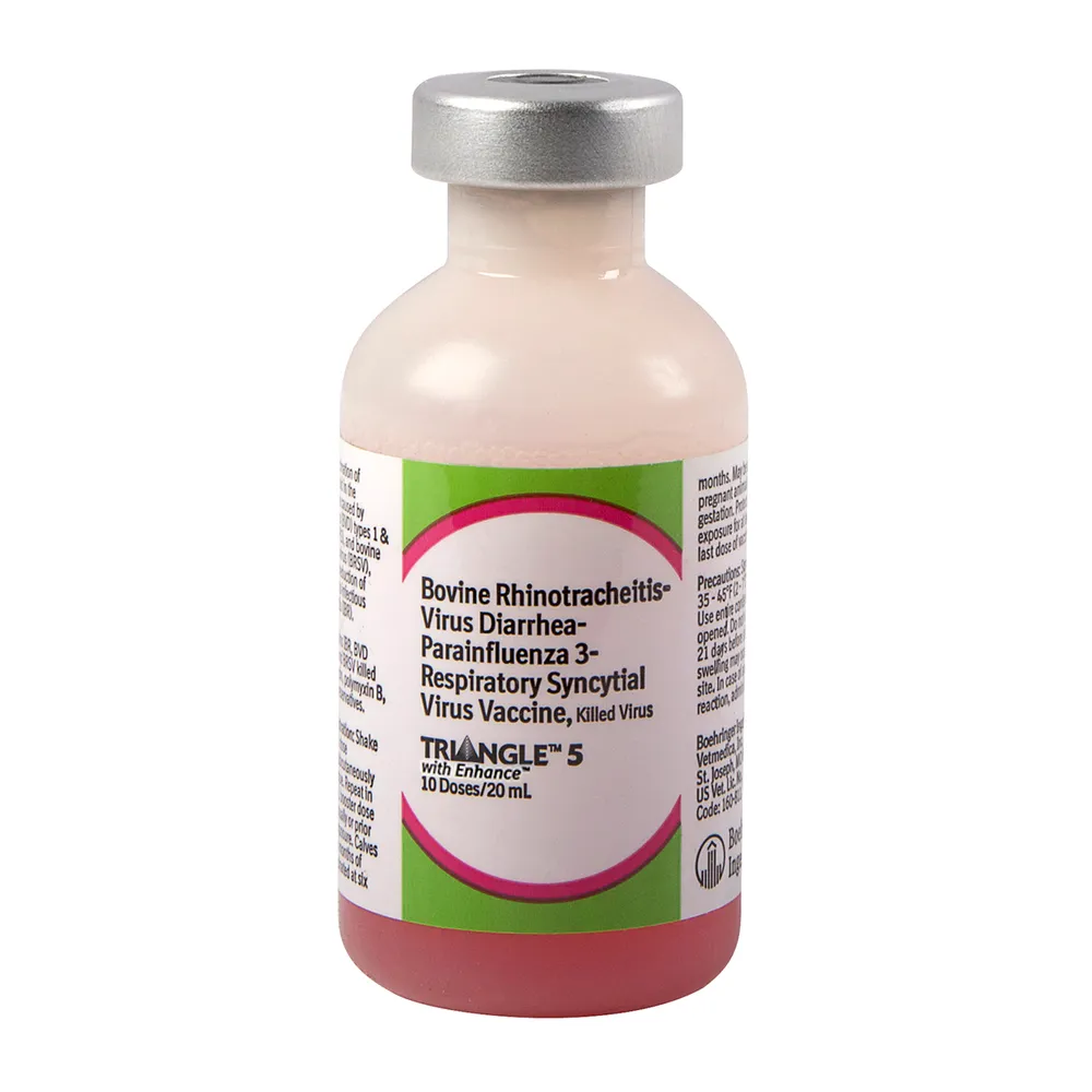 Triangle 5 With Enhance Cattle Vaccine 1 Triangle 5 With Enhance Cattle Vaccine