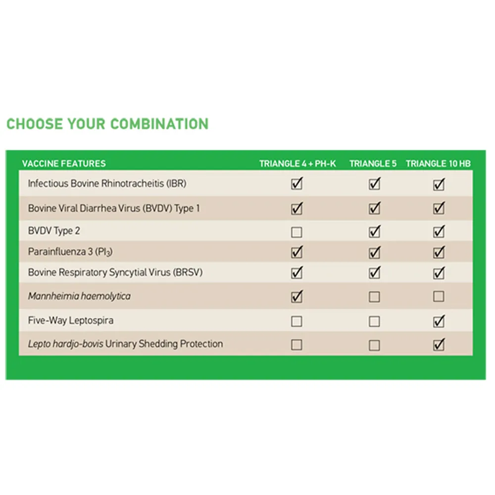 Triangle 5 With Enhance Cattle Vaccine 2 Triangle 5 With Enhance Cattle Vaccine - Image 2