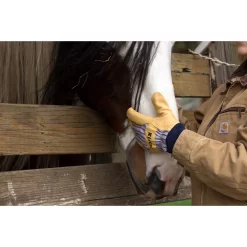 Cold Weather Work Gloves Knit Wrist -Pet Care Supplies 12550 3