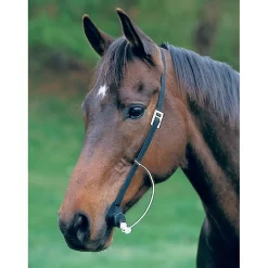 Hamilton Grooma Easy Wormer -Pet Care Supplies 12555 3