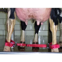 Cow Cufflinks -Pet Care Supplies 12639 3