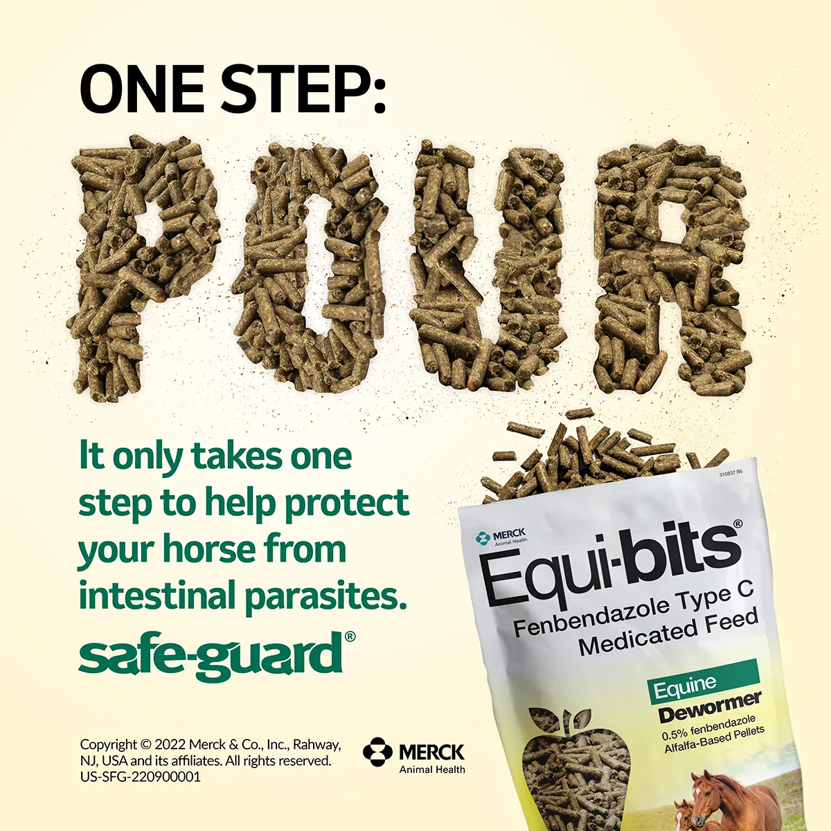 Safe-Guard Equi-bits Fenbendazole Type C Medicated Feed For Horses 2 Safe-Guard Equi-bits Fenbendazole Type C Medicated Feed For Horses - Image 2
