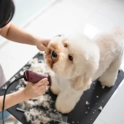 Andis UltraEdge AGC Super 2-Speed Clipper -Pet Care Supplies 12866 7