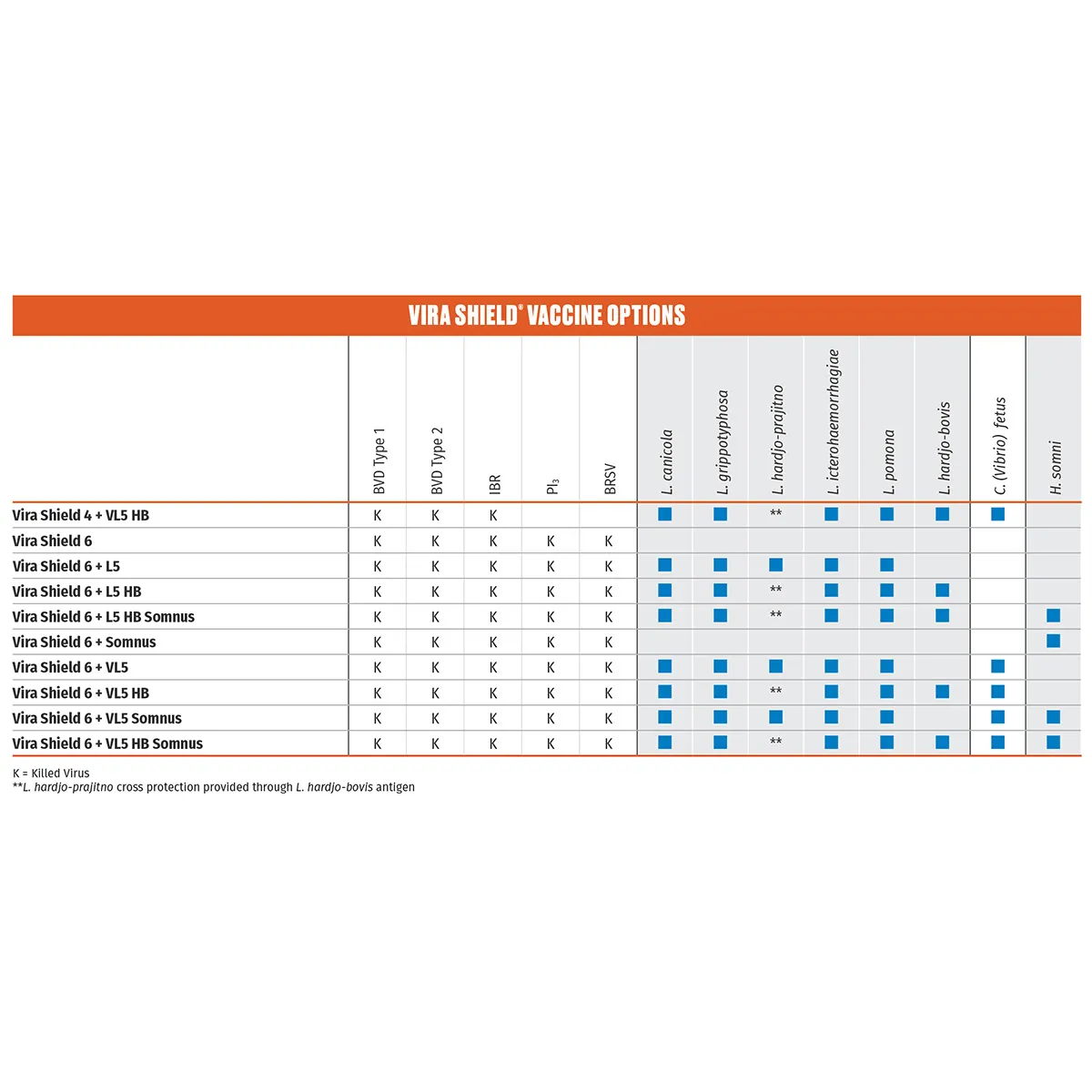 Vira Shield 6+L5 HB Cattle Vaccine 2 Vira Shield 6+L5 HB Cattle Vaccine - Image 2