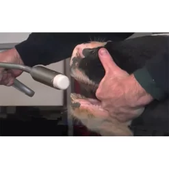 Boehringer Ingelheim Bovikalc Oral Calcium Boluses -Pet Care Supplies 13140 3