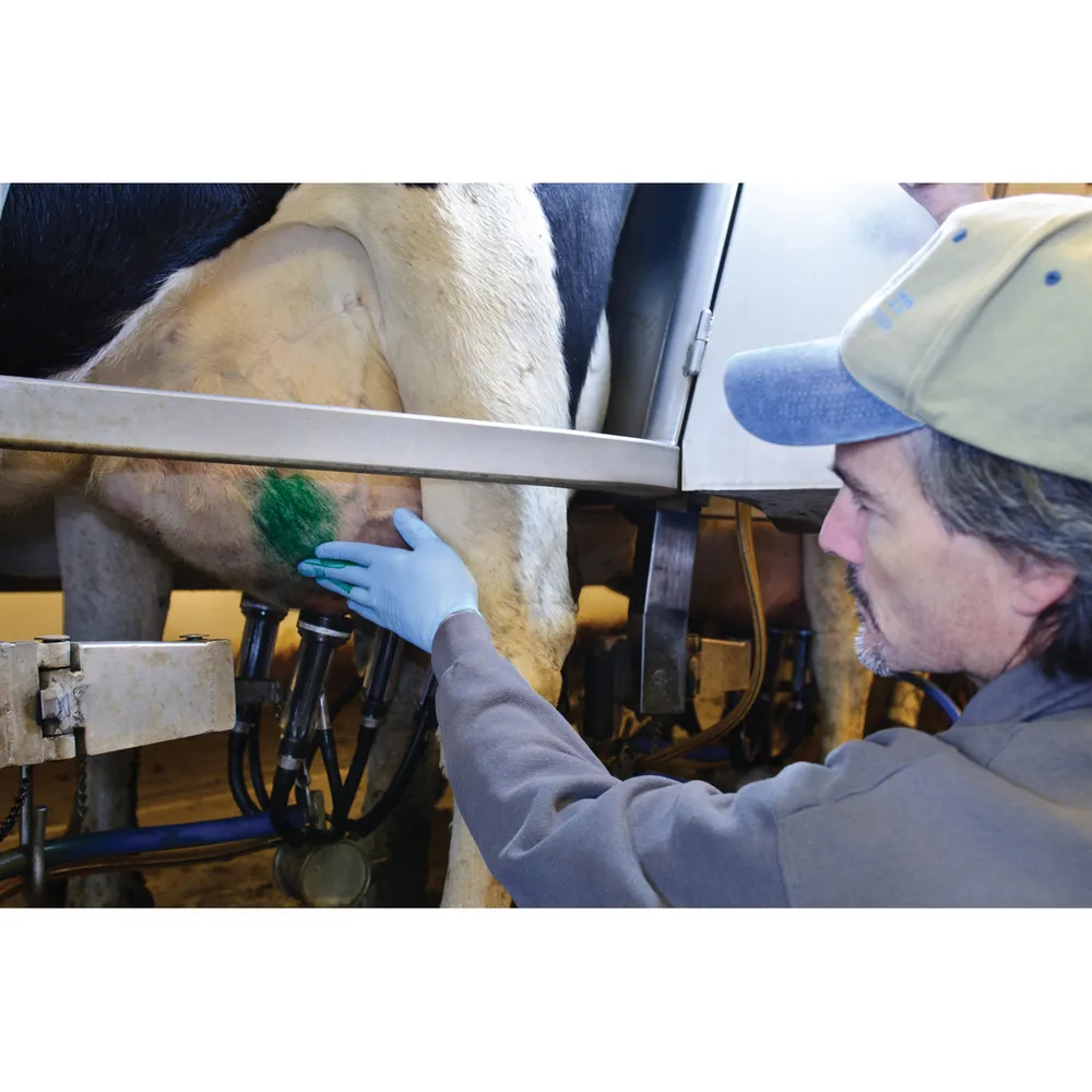 Dynamint Udder Cream 2 Dynamint Udder Cream - Image 2