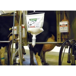 Dynamint Udder Cream 10 Dynamint Udder Cream -Pet Care Supplies 13516 5