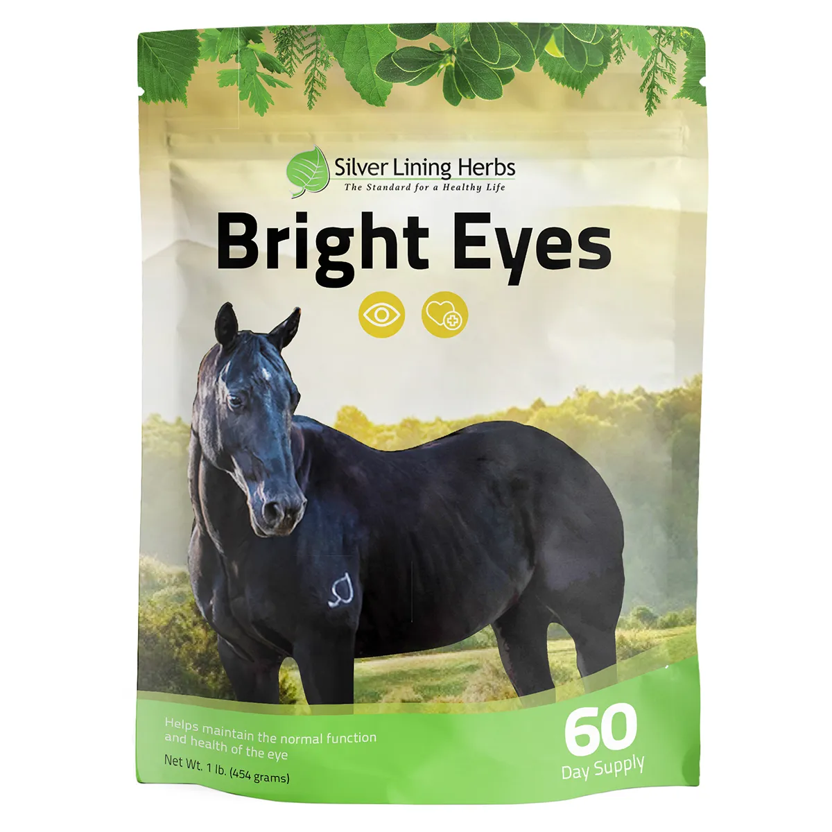 Bright Eyes For Horses 1 Bright Eyes For Horses
