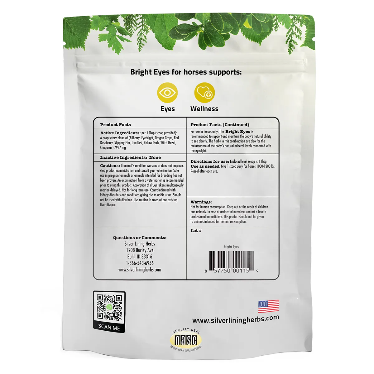 Bright Eyes For Horses 2 Bright Eyes For Horses - Image 2