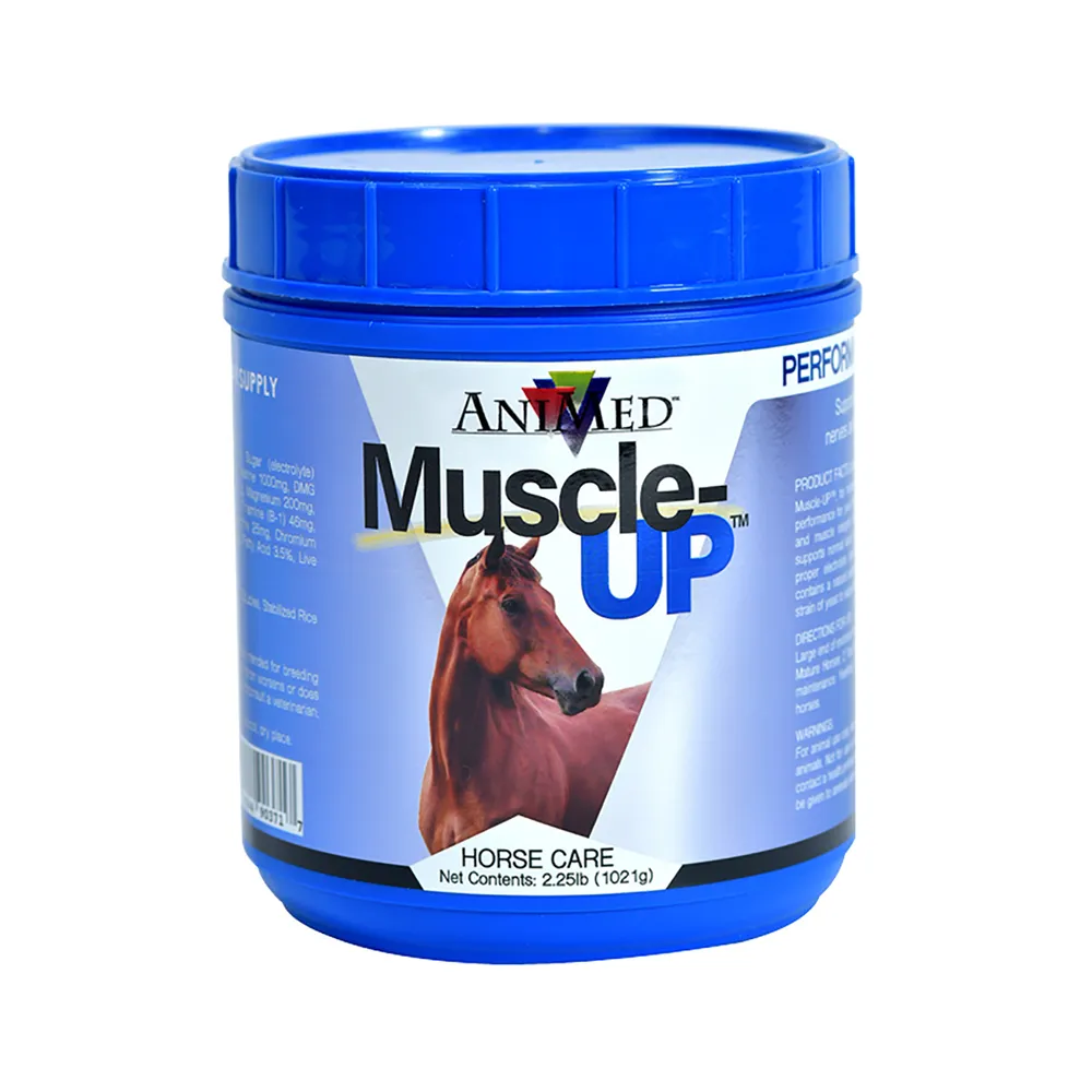 Muscle-UP Horse Supplement 1 Muscle-UP Horse Supplement