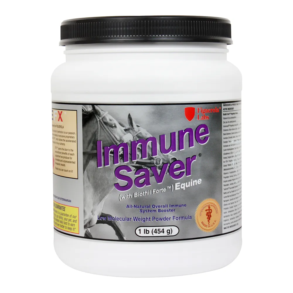 ImmuneSaver (100% Probiothil-Forte) For Horses 1 ImmuneSaver (100% Probiothil-Forte) For Horses