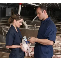 ZOETIS Fostera Gold PCV Swine Vaccine -Pet Care Supplies 14577 3