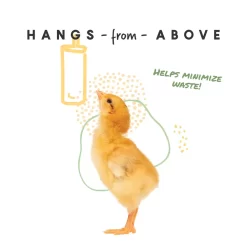 Chick Stick Treat -Pet Care Supplies 14626 5