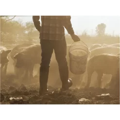 BOGS Men's Rancher Boots -Pet Care Supplies 14635 5