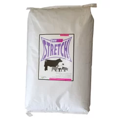 Stretch