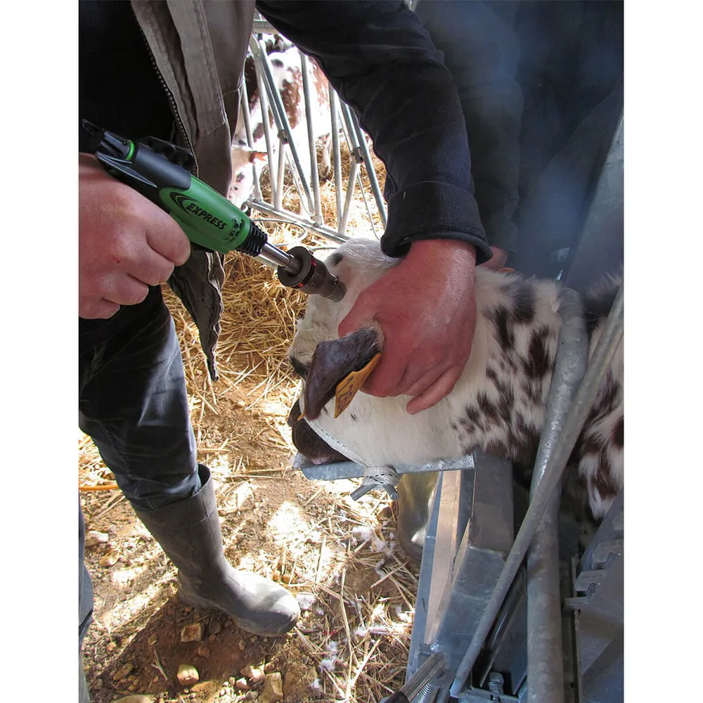 Express Pistol-Grip Dehorner And Debudder 3 Express Pistol-Grip Dehorner And Debudder - Image 3