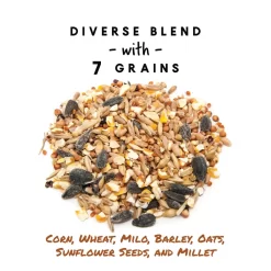 Scratch Mixed Grains For Poultry -Pet Care Supplies 15040 3