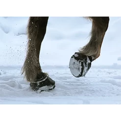 Cavallo Simple Slim Sole Horse Boots 12 Cavallo Simple Slim Sole Horse Boots -Pet Care Supplies 15189 5