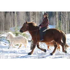 Cavallo Simple Slim Sole Horse Boots 13 Cavallo Simple Slim Sole Horse Boots -Pet Care Supplies 15189 6