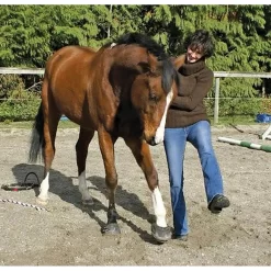 Cavallo Sport Regular Sole Horse Boots -Pet Care Supplies 15190 5