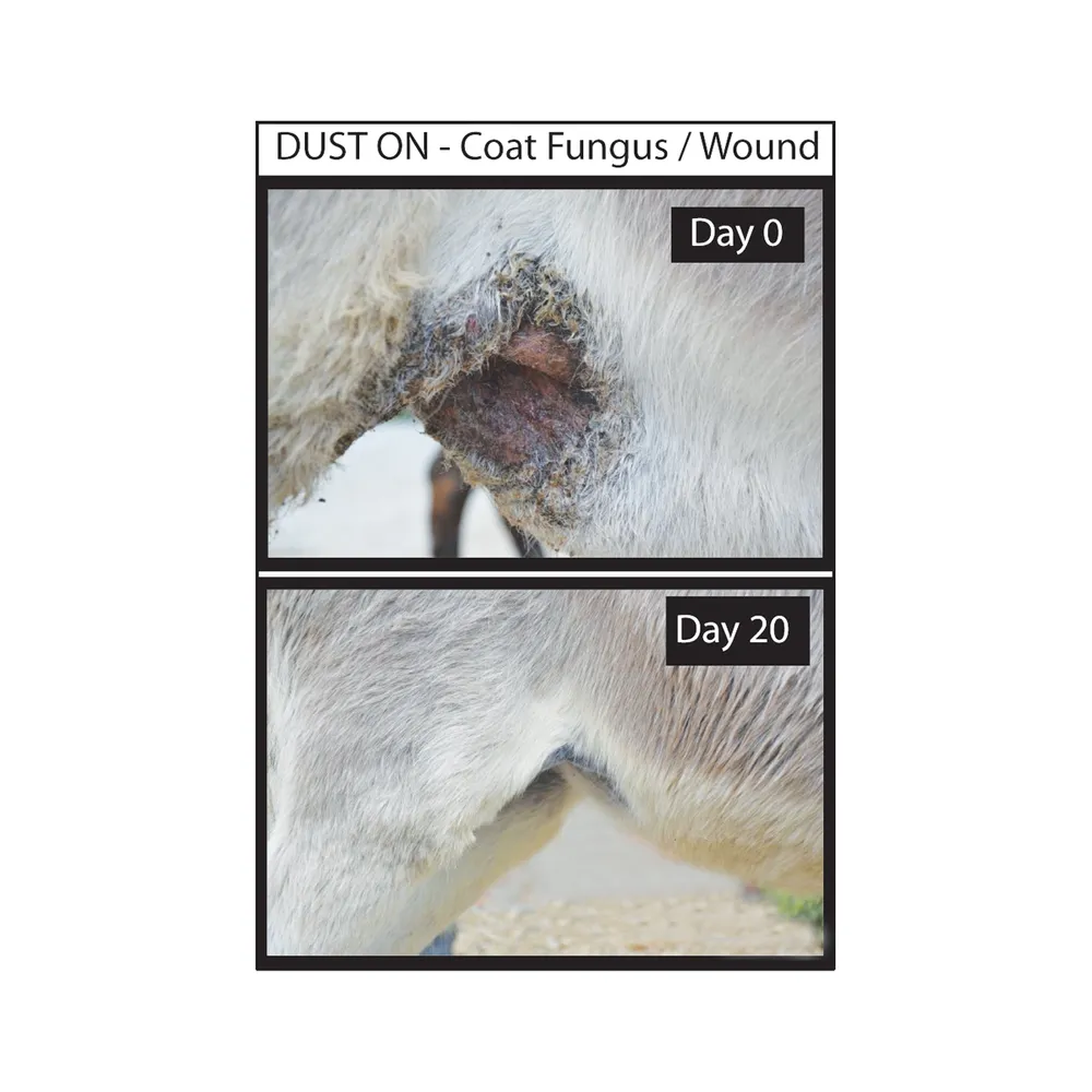 Dust On! All-In-One Wound Dressing 2 Dust On! All-In-One Wound Dressing - Image 2