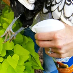 Vetericyn Plus Antimicrobial Poultry Care Spray -Pet Care Supplies 15665 3