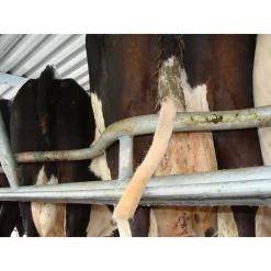 Tailwell2 Power Tail Trimmer -Pet Care Supplies 15982 5