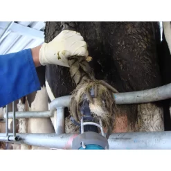 Tailwell2 Power Tail Trimmer -Pet Care Supplies 15982 9