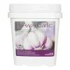 FlyAway Garlic Immune System Support Supplement For Horses