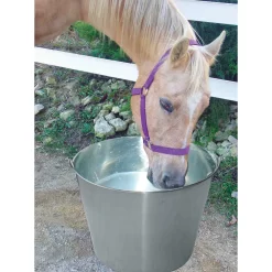 Stainless Steel Dairy Pail -Pet Care Supplies 16266 3