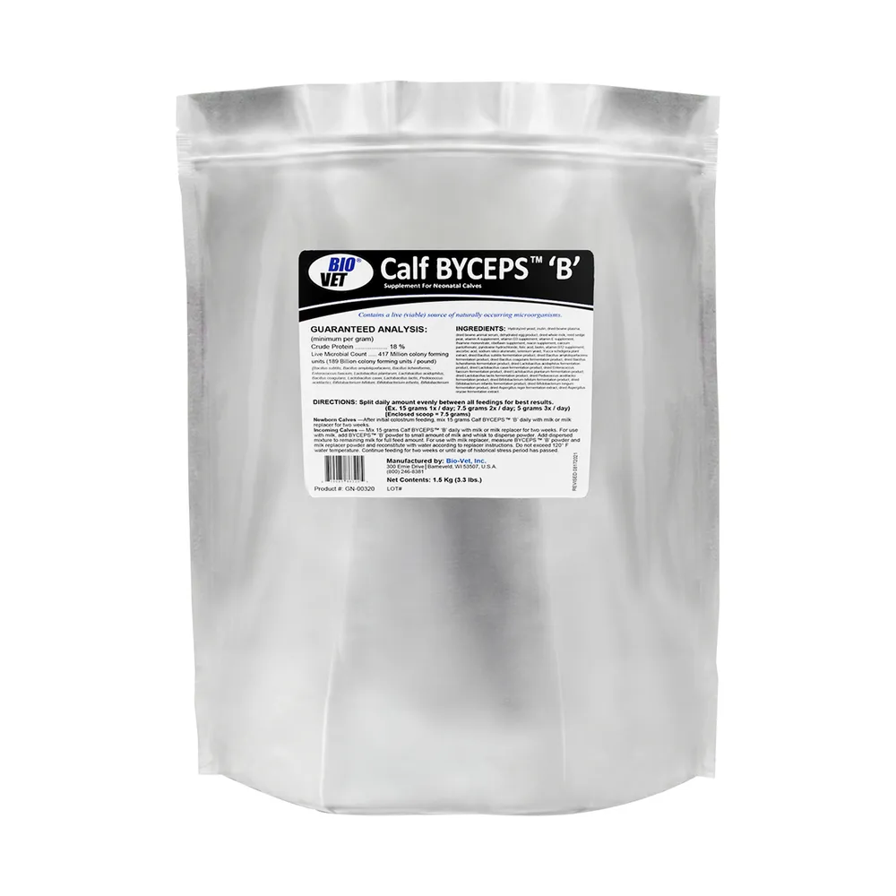 Calf Byceps 'B' 1 Calf Byceps 'B'