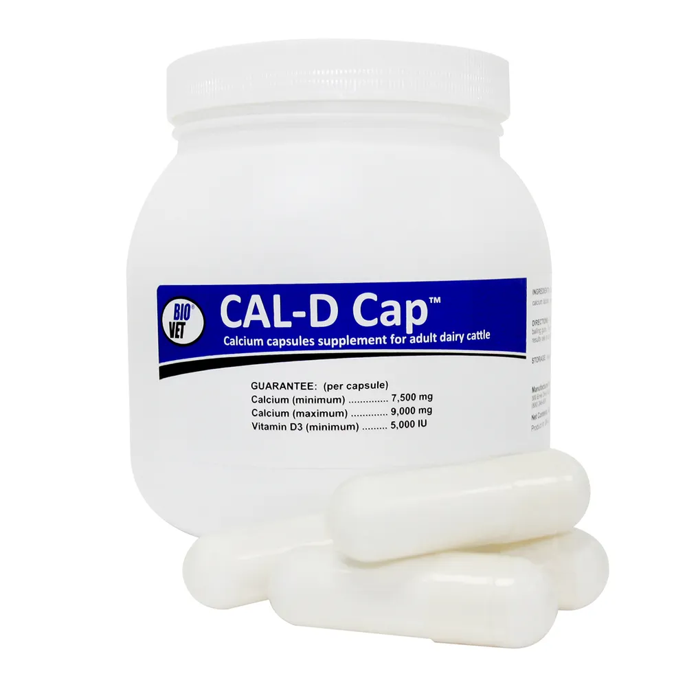 Cal-D Caps For Dairy Cattle 1 Cal-D Caps For Dairy Cattle