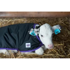 Weaver Livestock Pro Calf Blanket 5 Weaver Livestock Pro Calf Blanket -Pet Care Supplies 16632 3