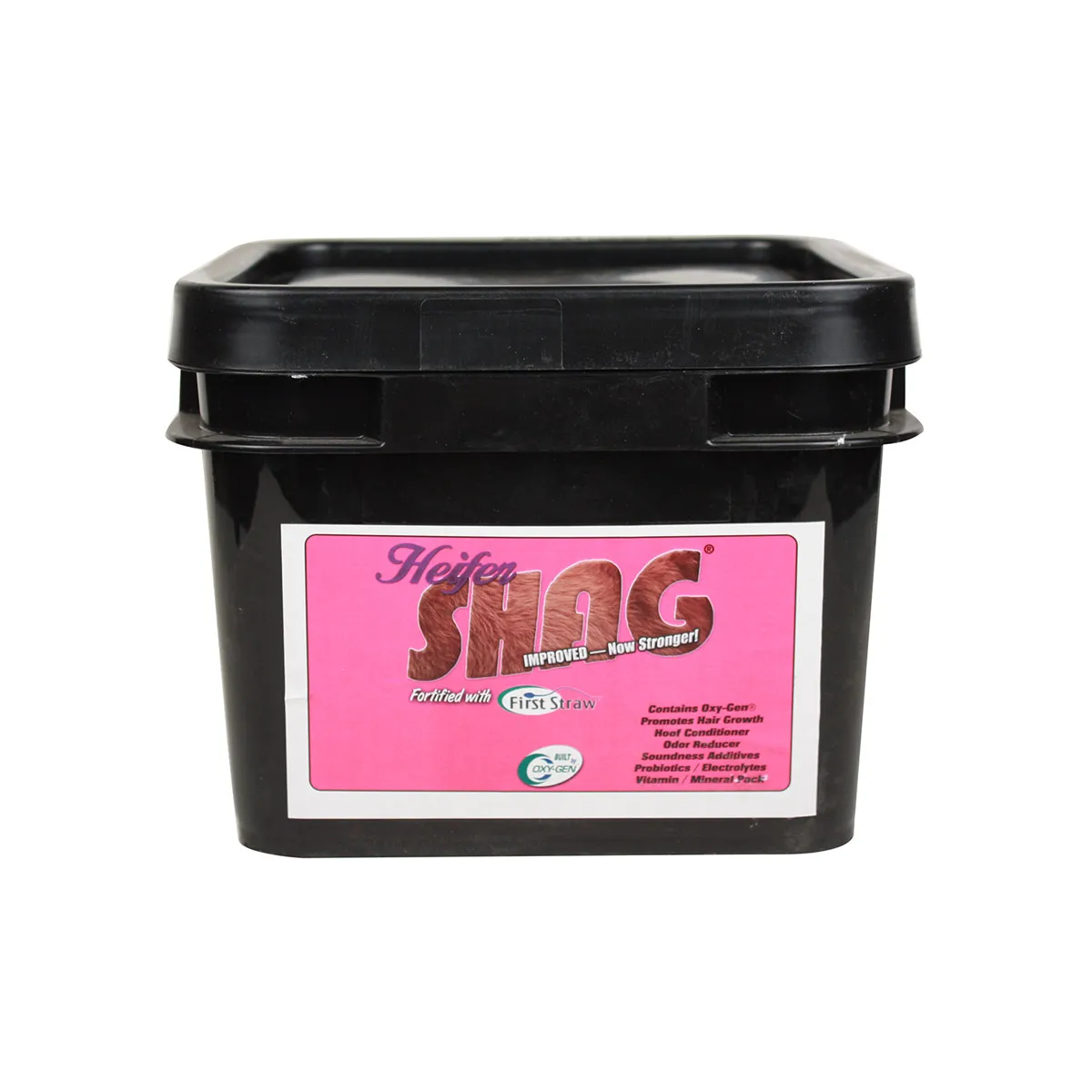 Heifer SHAG 1 Heifer SHAG