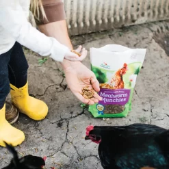 Mealworm Munchies Gourmet Poultry Treats -Pet Care Supplies 16775 5