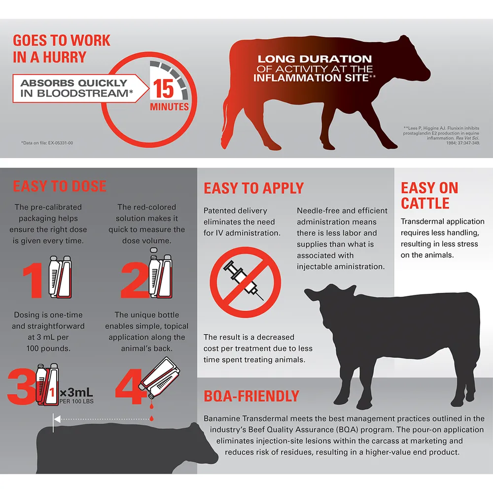 Banamine Transdermal Pour-On Rx 2 Banamine Transdermal Pour-On Rx - Image 2