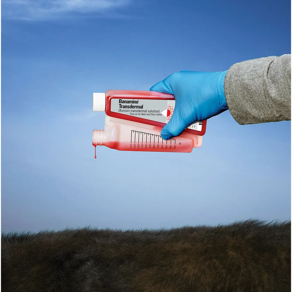 Banamine Transdermal Pour-On Rx 4 Banamine Transdermal Pour-On Rx - Image 4