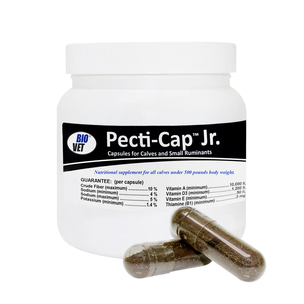 Pecti-Cap Capsules For Cattle 1 Pecti-Cap Capsules For Cattle