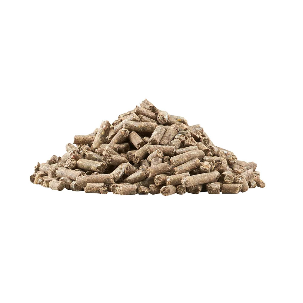 Vita Plus Horse Supplement 2 Vita Plus Horse Supplement - Image 2