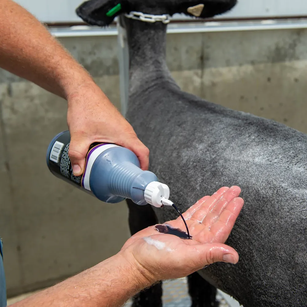 Purifying Shampoo 2 Purifying Shampoo - Image 2