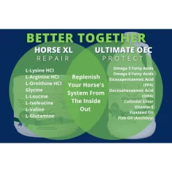 Equinety Ultimate OEC Supplement -Pet Care Supplies 19056 6