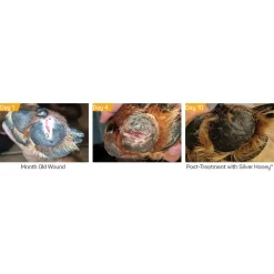 Silver Honey Hot Spot & Wound Care 5 Silver Honey Hot Spot & Wound Care -Pet Care Supplies 19293 3