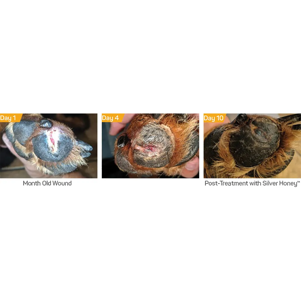 Silver Honey Hot Spot & Wound Care 3 Silver Honey Hot Spot & Wound Care - Image 3