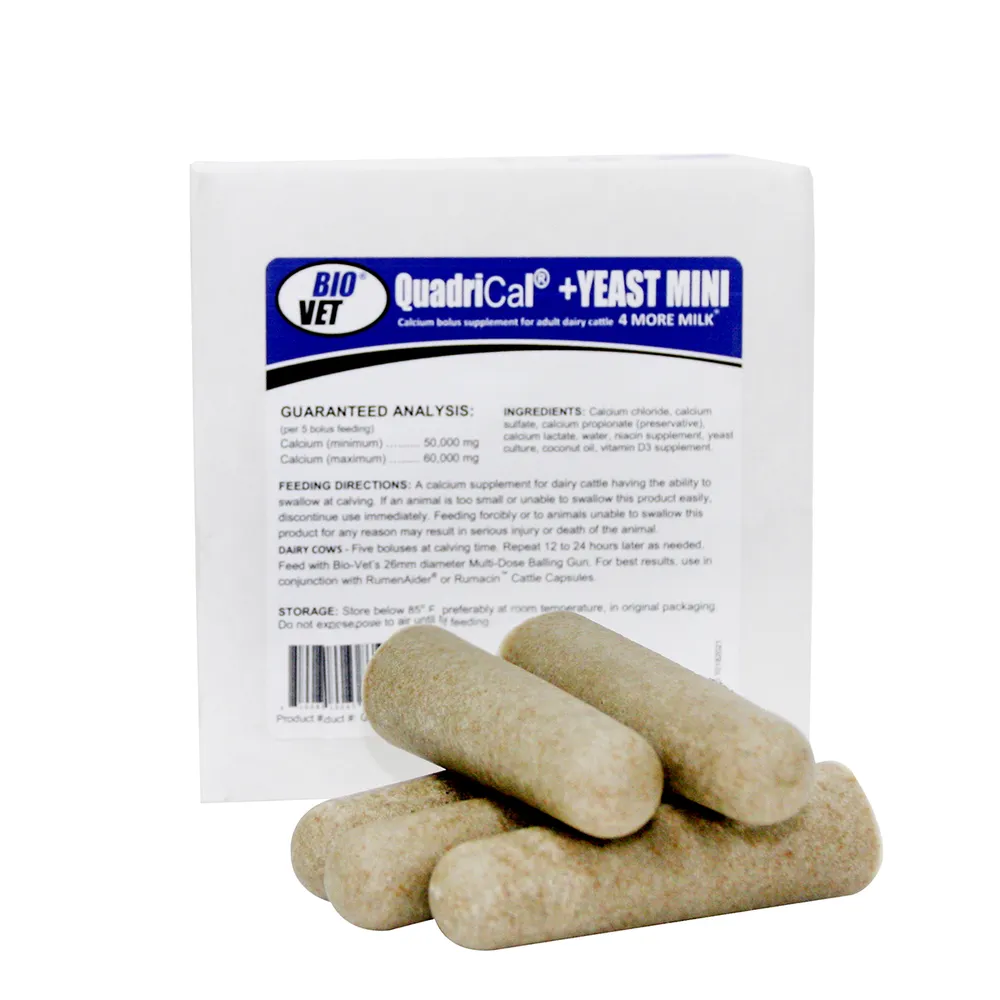 QuadriCal Mini + YEAST Calcium Boluses 1 QuadriCal Mini + YEAST Calcium Boluses