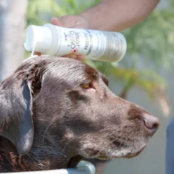 Probiotic Shampoo + Conditioner -Pet Care Supplies 19437 4