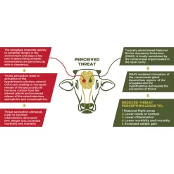 FerAppease Maternal Bovine Appeasing Substance -Pet Care Supplies 20210 4