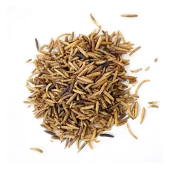 Bug Buffet Poultry Treat -Pet Care Supplies 20334 3